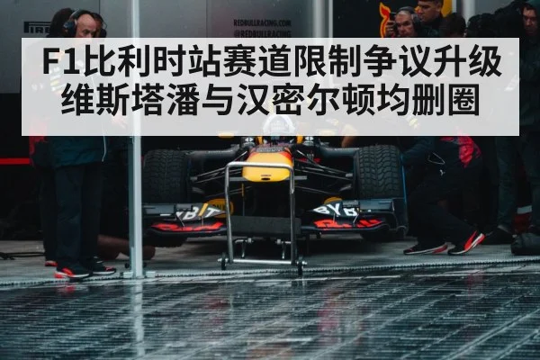 Max Verstappen Red Bull car