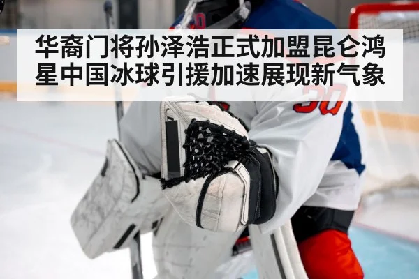 ice hockey goalie