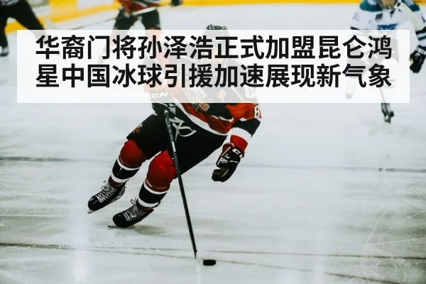 hockey player action